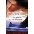 Het geheim van Montague